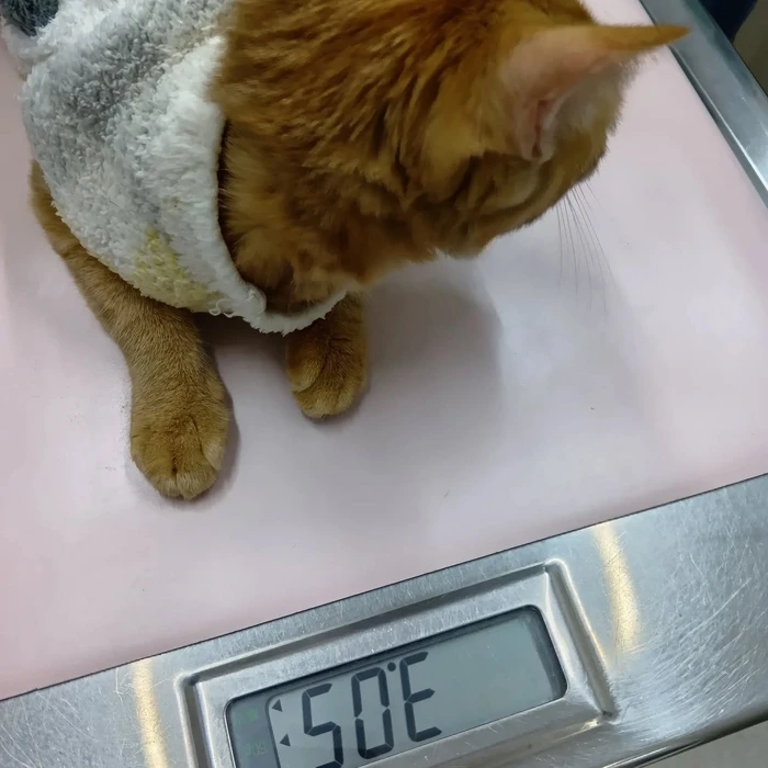 画像2599