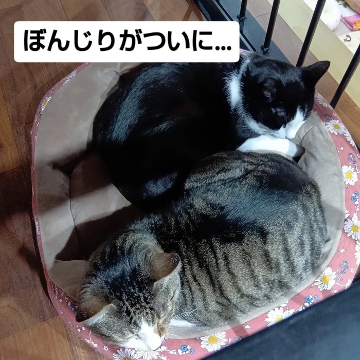 画像2601