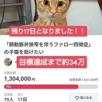 画像2605