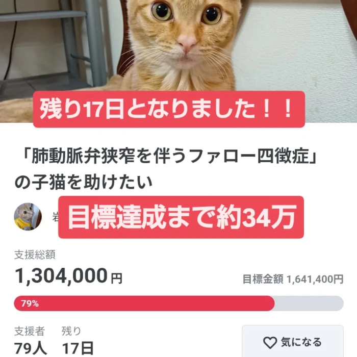 画像2605