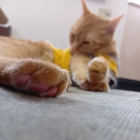 画像2607
