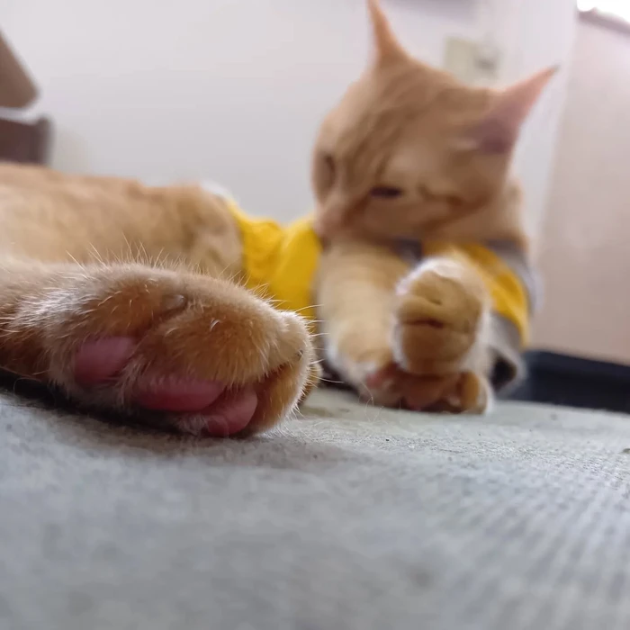 画像2607