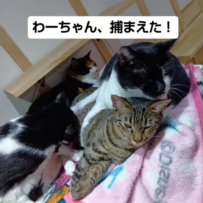 画像2613