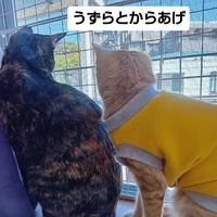 画像2616