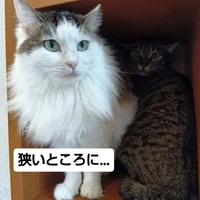 画像2619