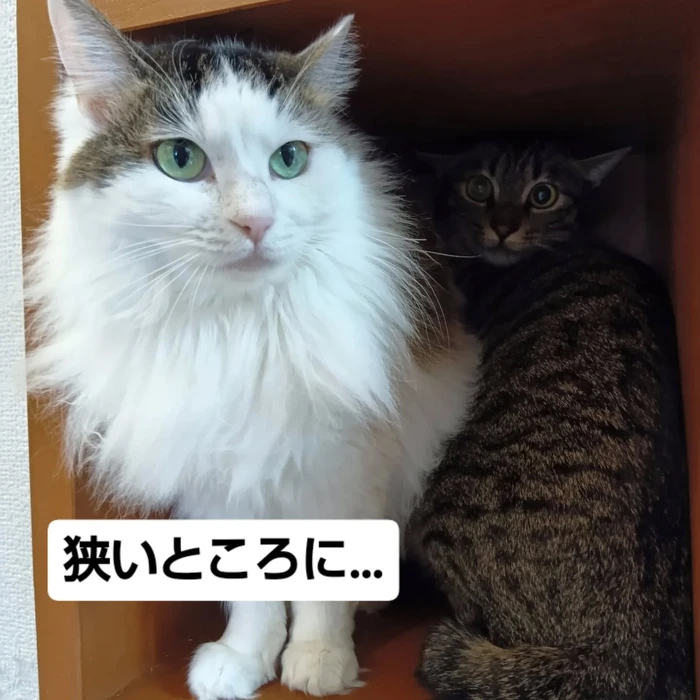画像2619