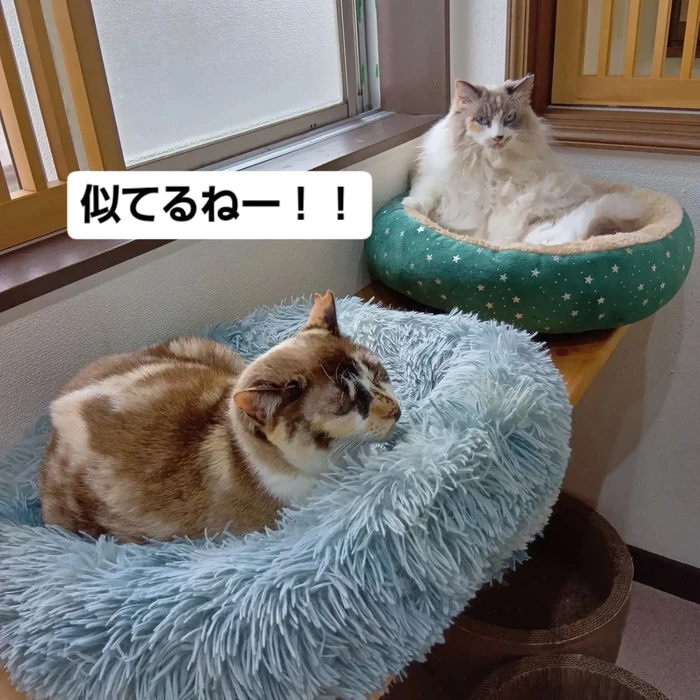 画像2624