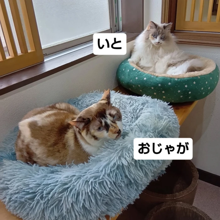 画像2625