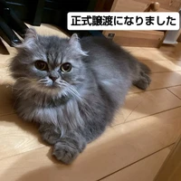 画像2627