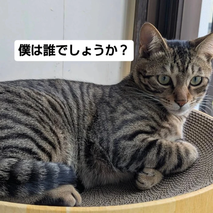 画像2634