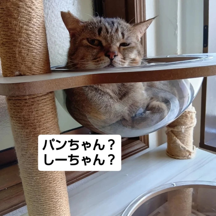 画像2644
