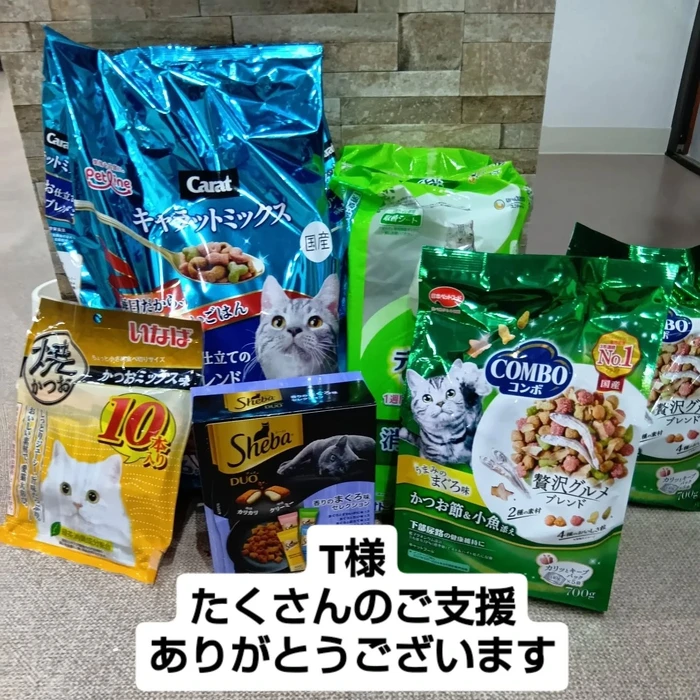 画像2648