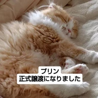 画像2653