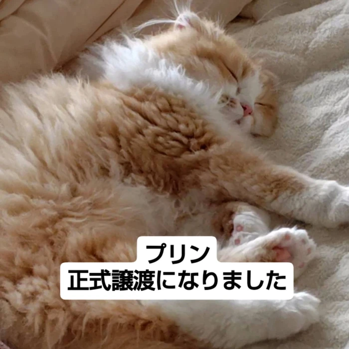 画像2653