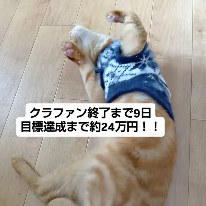 画像2657