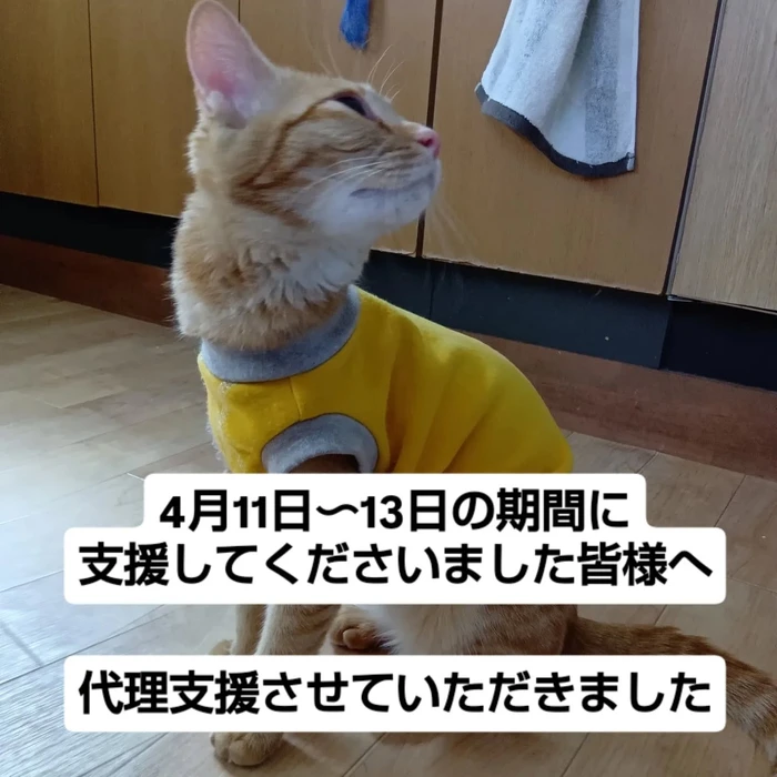 画像2666