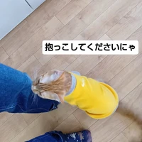 画像2667