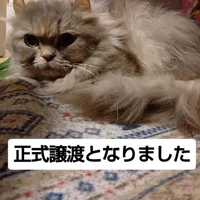 画像2676