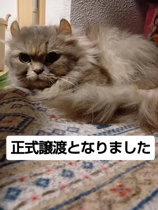 画像2676