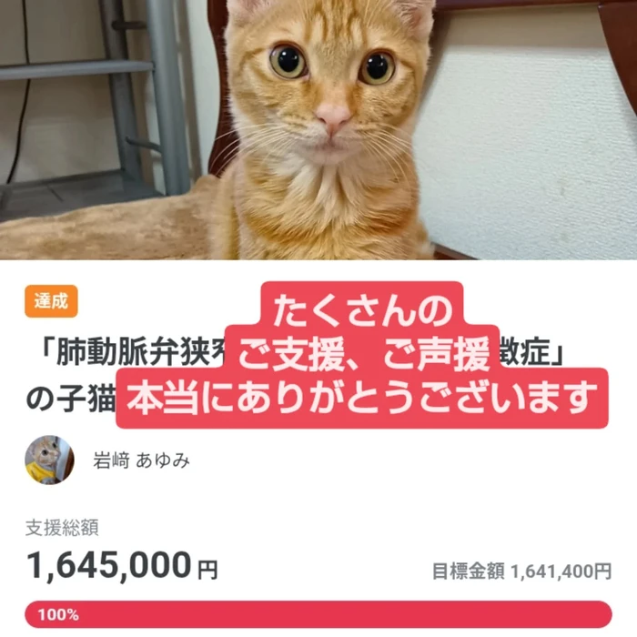画像2679