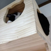 画像268