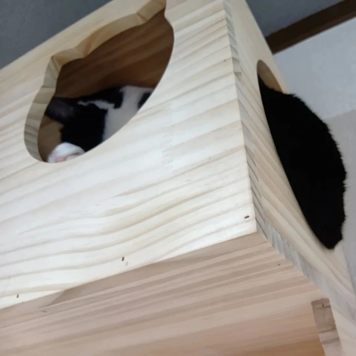 画像268
