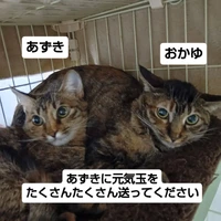画像2682