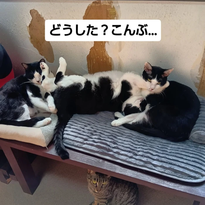 画像2690