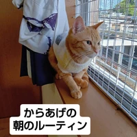 画像2694