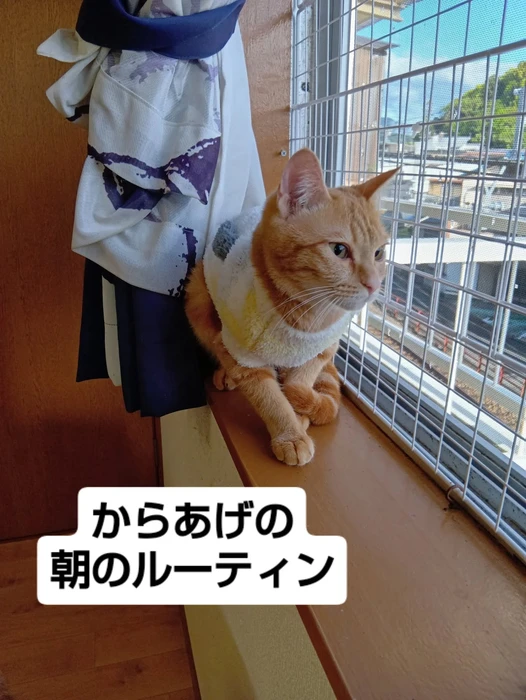 画像2694