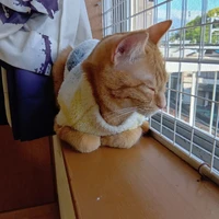 画像2695