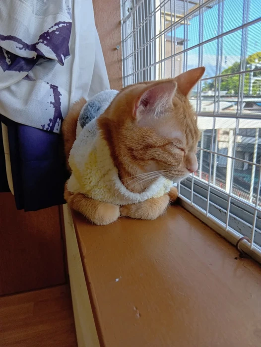 画像2695