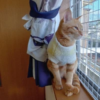 画像2697