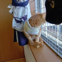 画像2699