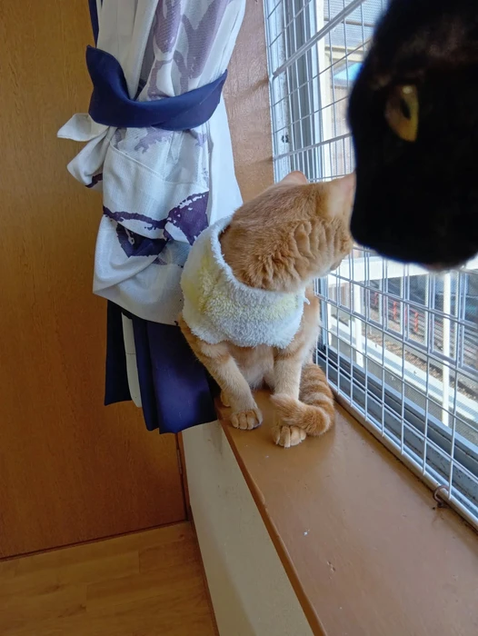画像2699