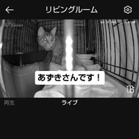 画像2703
