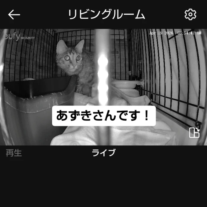 画像2703