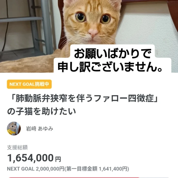 画像2706