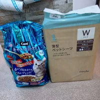 画像2711
