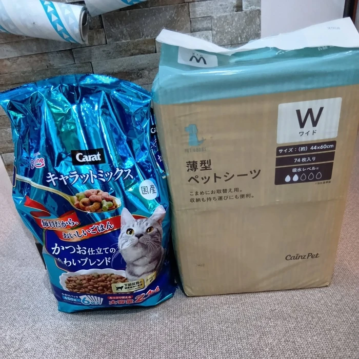 画像2711