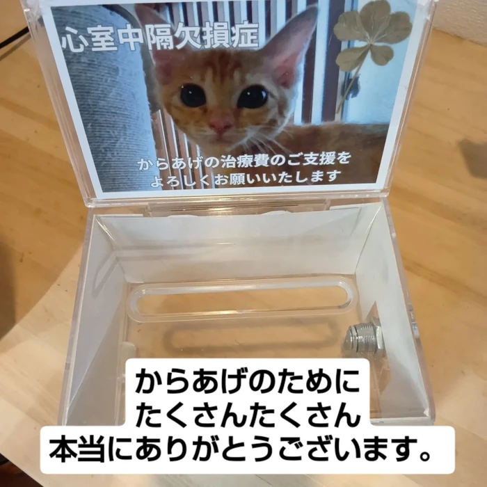 画像2719