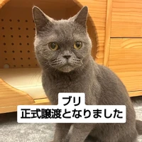 画像2726