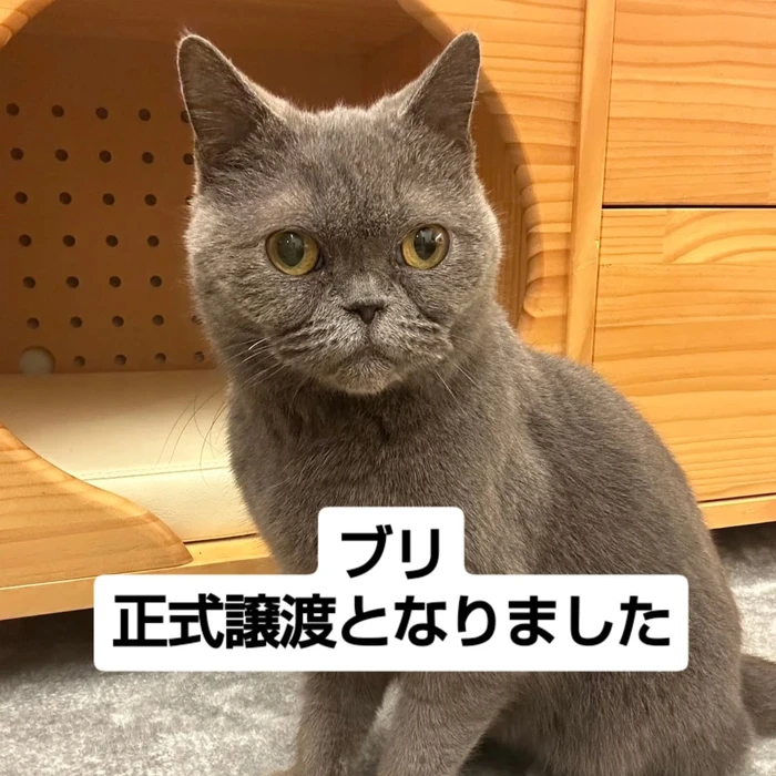 画像2726
