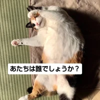 画像2731