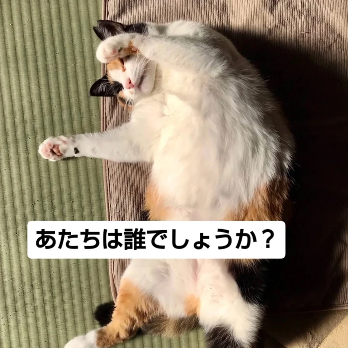 画像2731