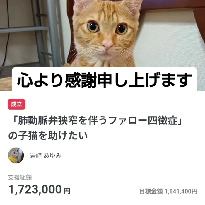 画像2735