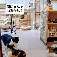 画像2739