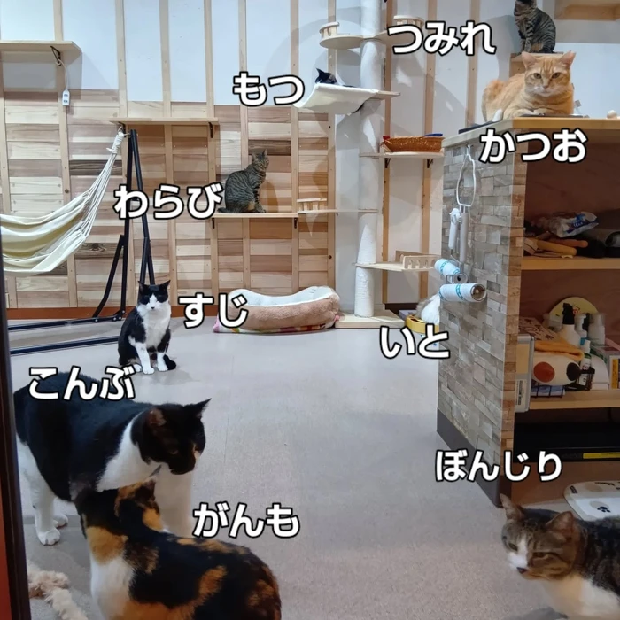 画像2740