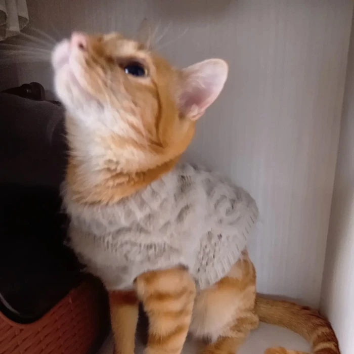 画像2744