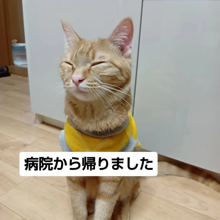 画像2750